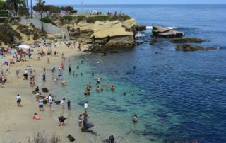 Dive Areas in La Jolla