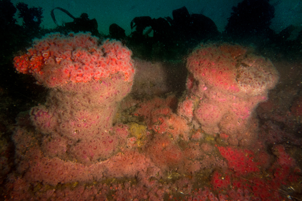 Explore the world of The Yukon Wreck