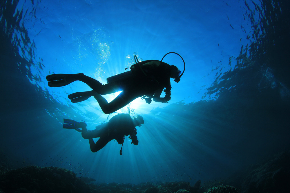 San Diego - World-Class Diving Destination