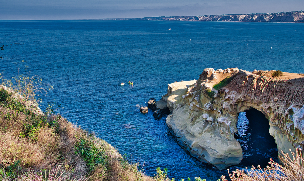 Snorkeling in La Jolla 5 Thing you Need to Know